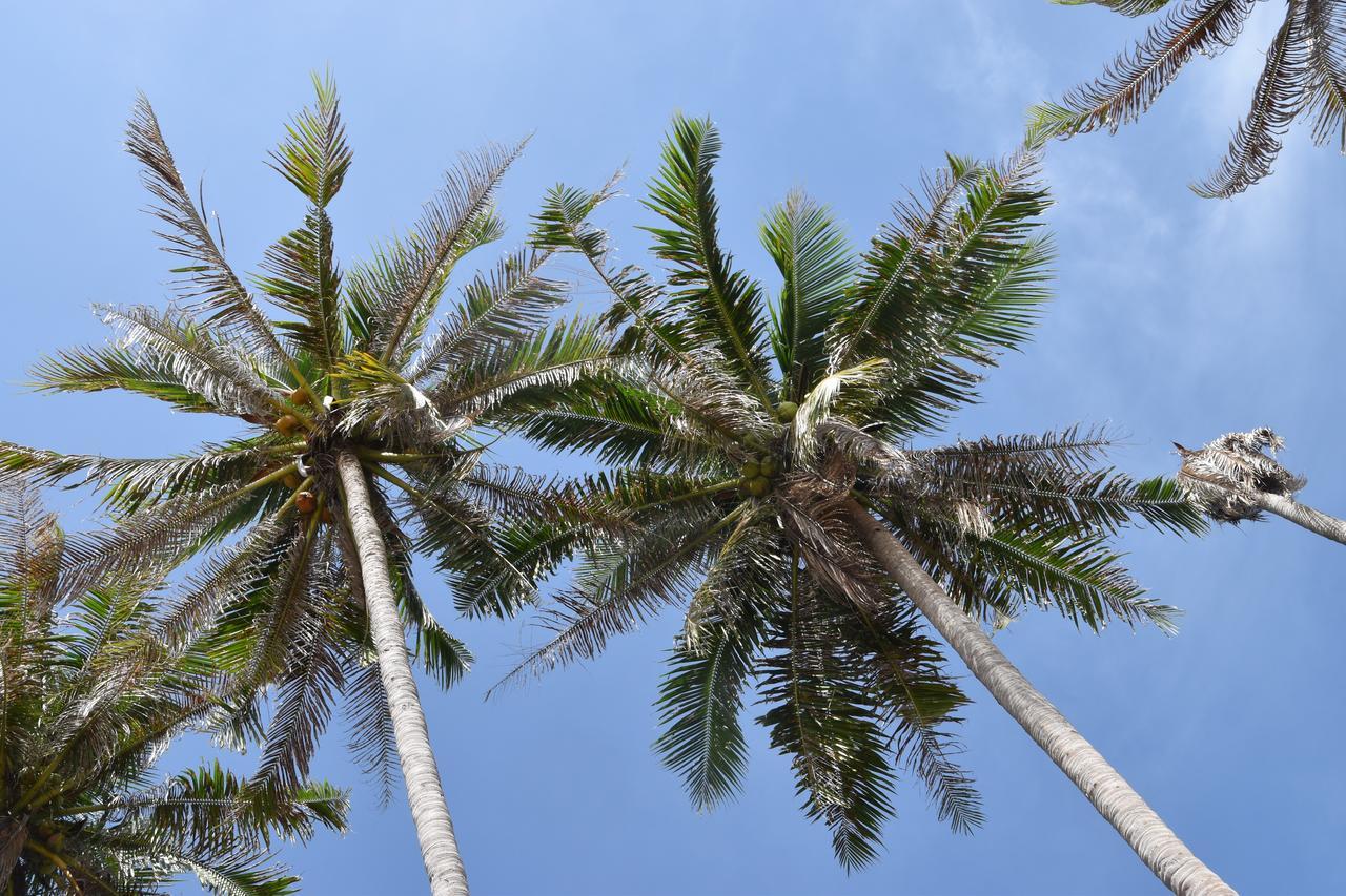 Magic Resort Lamai Beach  Exterior photo